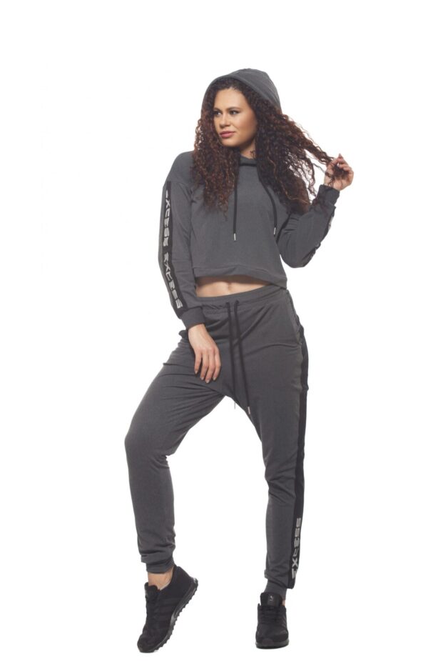 Excess Loungewear TRAINING Set gray